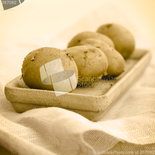 Image of Five raw potatoes (seepia toning)