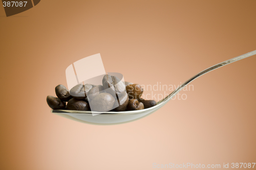 Image of spoon filled with coffee beans