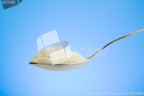 Image of Rice on the spoon