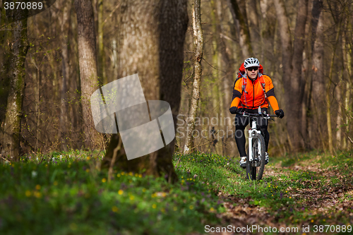 Image of Mountain Bike cyclist riding single track