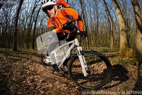 Image of Cyclist Riding the Bike