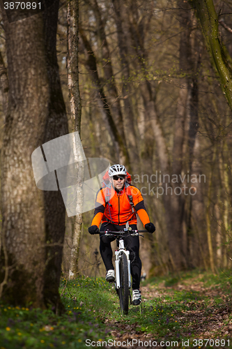 Image of Mountain Bike cyclist riding single track