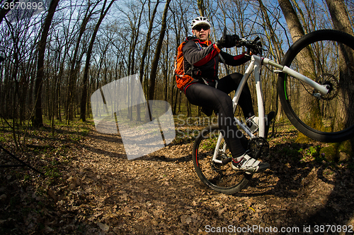 Image of Cyclist Riding the Bike