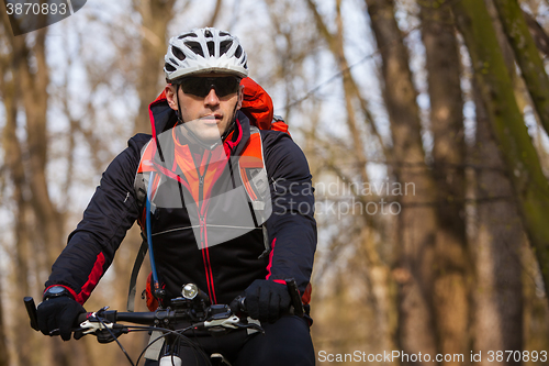 Image of Mountain Bike cyclist riding single track