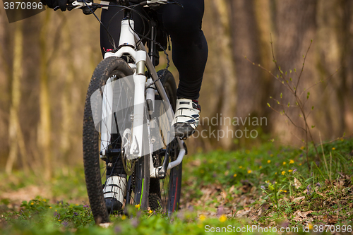 Image of Mountain Bike cyclist riding single track