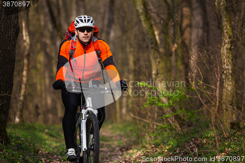 Image of Mountain Bike cyclist riding single track