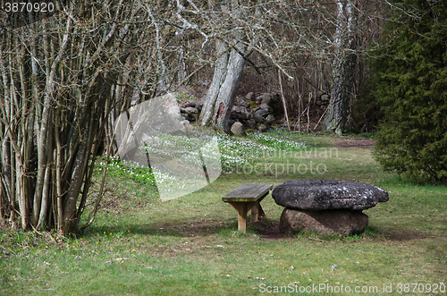 Image of Beautiful resting place at spring