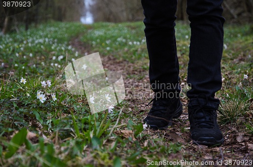 Image of Walking on a footpath at spring