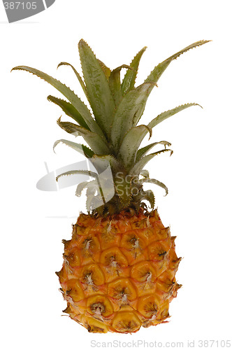Image of Pineapple fruit isolated on white background