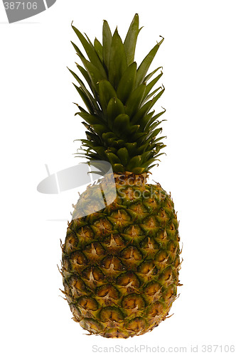 Image of Pineapple fruit isolated on white background