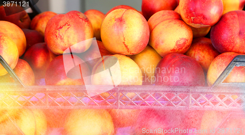 Image of Delicious fresh peaches