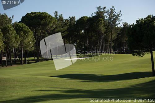 Image of golf course