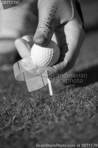 Image of golf player placing ball on tee