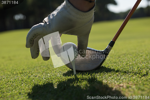 Image of golf player placing ball on tee