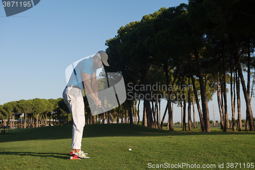 Image of golf player