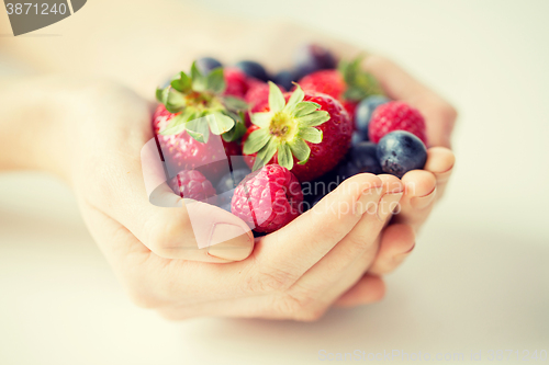 Image of close up of woman hands holding berries