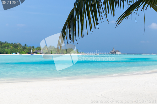 Image of maldives island beach with palm tree and villa