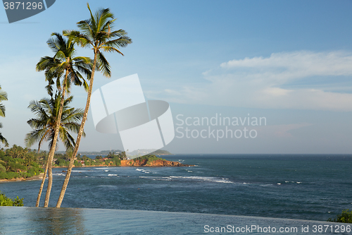 Image of view from infinity edge pool to ocean and palms