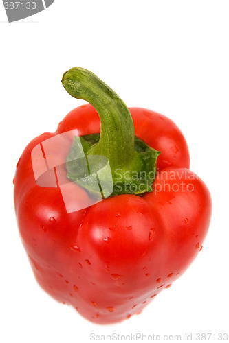 Image of Red pepper close-up
