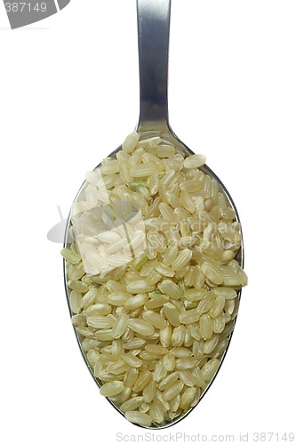 Image of Spoonful of short grain rice

