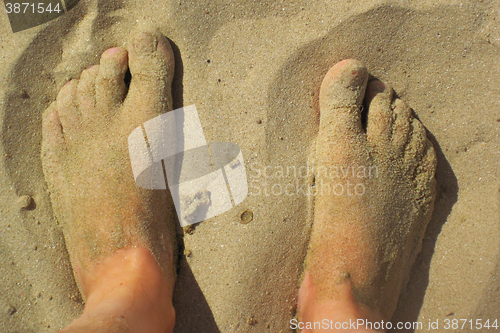 Image of man legs in the sand