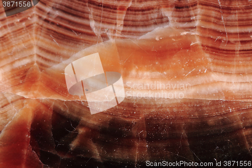 Image of brown agate texture
