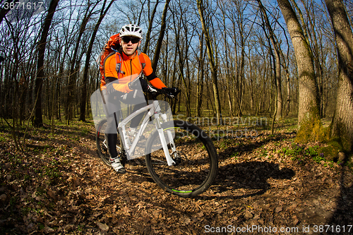 Image of Cyclist Riding the Bike