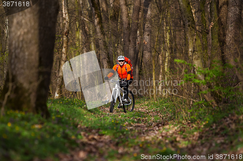 Image of Mountain Bike cyclist riding single track