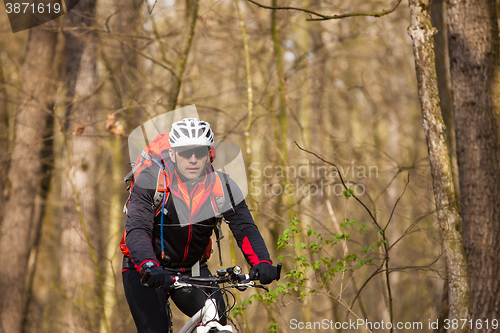 Image of Mountain Bike cyclist riding single track