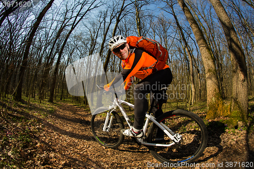 Image of Cyclist Riding the Bike