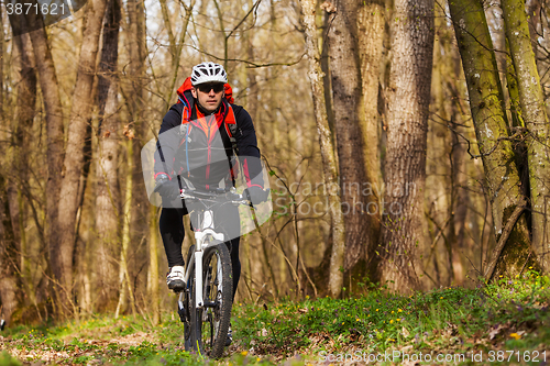 Image of Mountain Bike cyclist riding single track