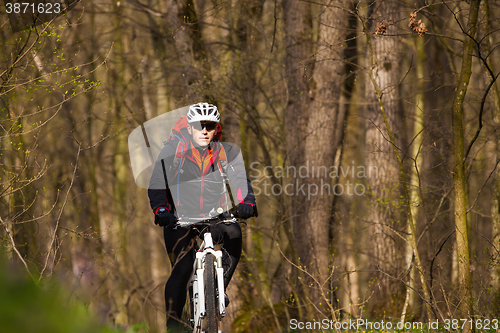 Image of Mountain Bike cyclist riding single track