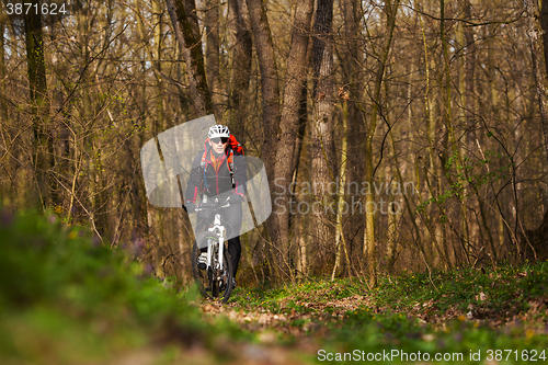 Image of Mountain Bike cyclist riding single track