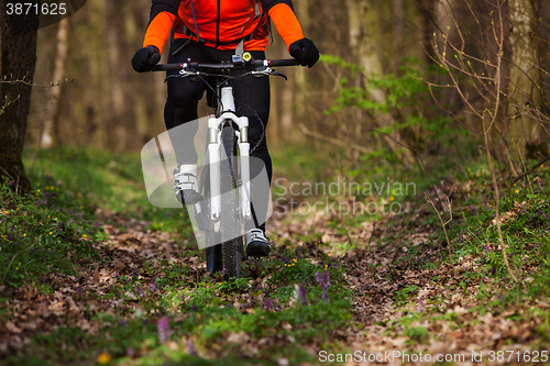 Image of Mountain Bike cyclist riding single track