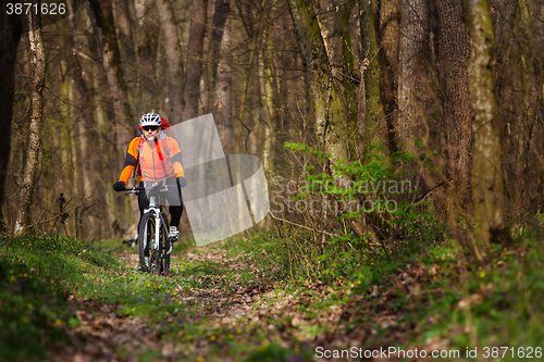 Image of Mountain Bike cyclist riding single track