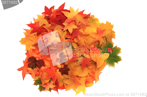 Image of autumn leaves texture