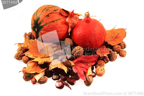 Image of autumn pumpkins and leaves