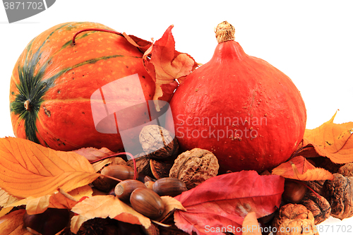 Image of autumn pumpkins and leaves