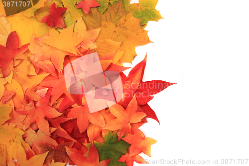 Image of autumn leaves texture