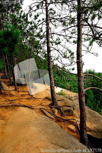 Image of Pines on cliffs