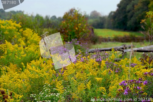 Image of Rural landscape