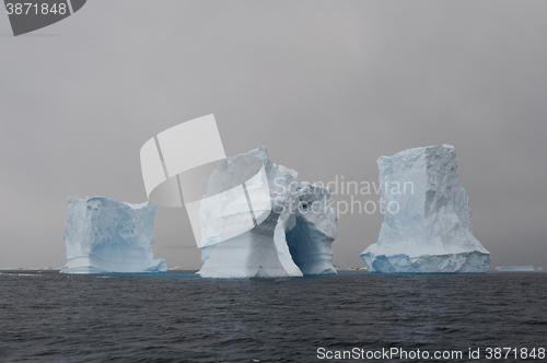 Image of Icebergs in Antarctica