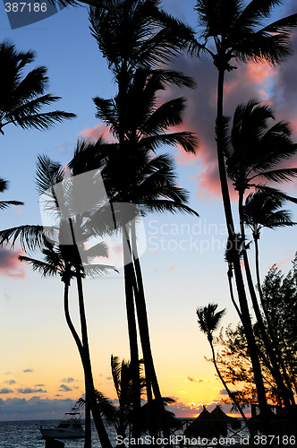 Image of Tropical sunrise