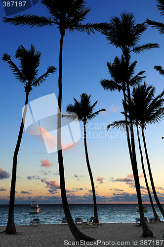 Image of Tropical sunrise