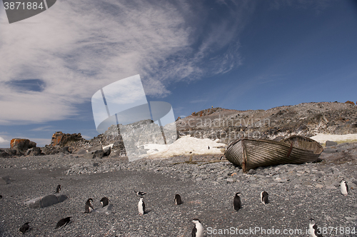 Image of Antarctica nice view