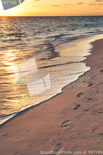 Image of Footprints on sandy beach at sunrise