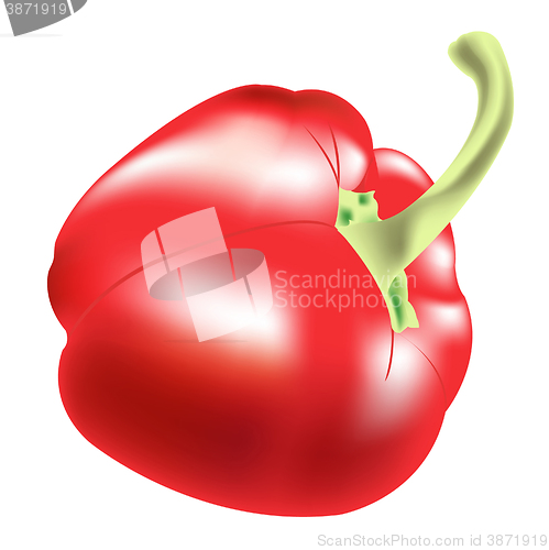 Image of Red pepper on white background