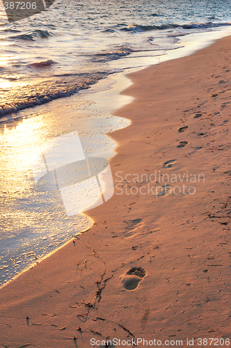 Image of Tropical beach with footprints