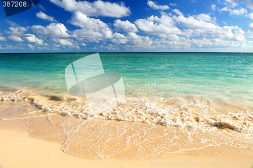 Image of Tropical beach