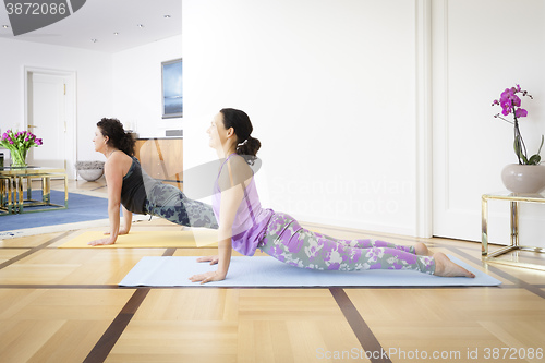 Image of yoga at home upwards looking dog pose